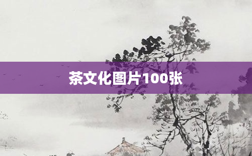 茶文化图片100张