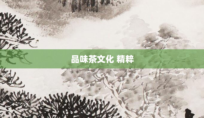 品味茶文化 精粹
