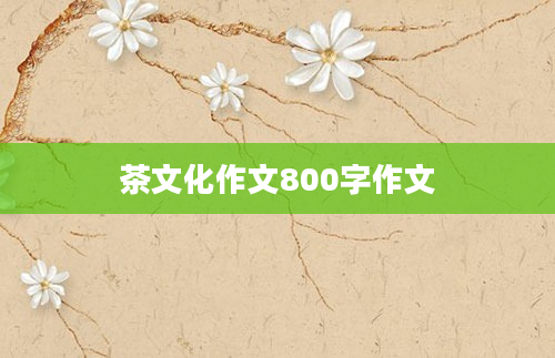 茶文化作文800字作文