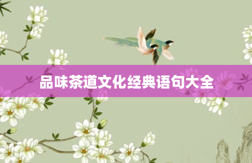 品味茶道文化经典语句大全