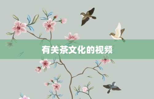 有关茶文化的视频