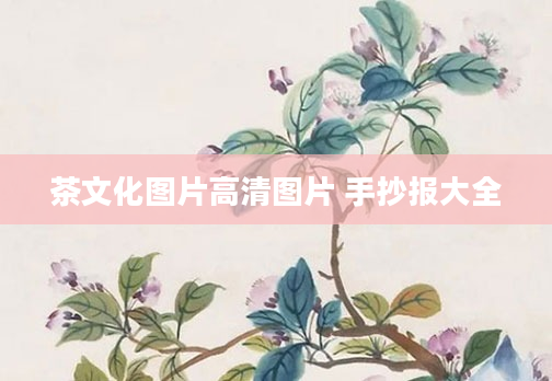 茶文化图片高清图片 手抄报大全