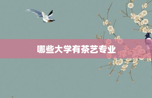 哪些大学有茶艺专业