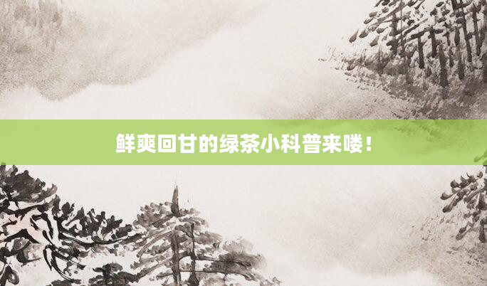 鲜爽回甘的绿茶小科普来喽！