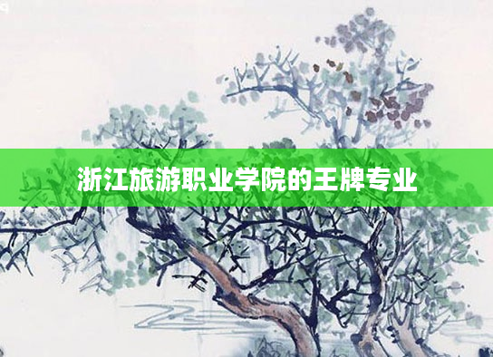 浙江旅游职业学院的王牌专业