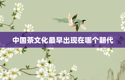 中国茶文化最早出现在哪个朝代