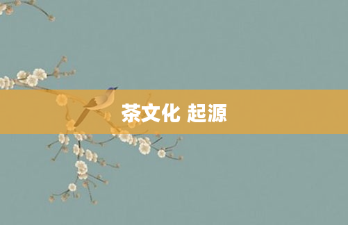 茶文化 起源