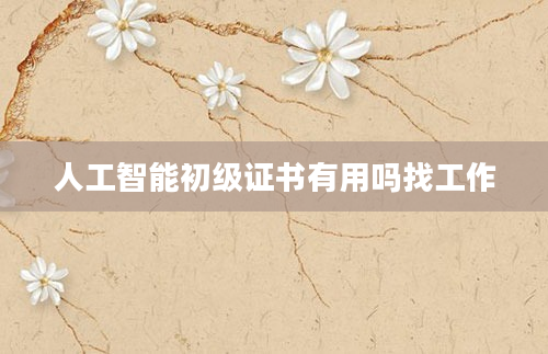 人工智能初级证书有用吗找工作
