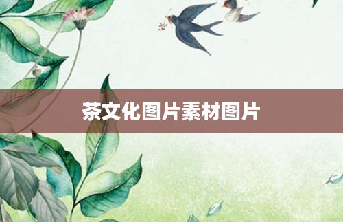 茶文化图片素材图片