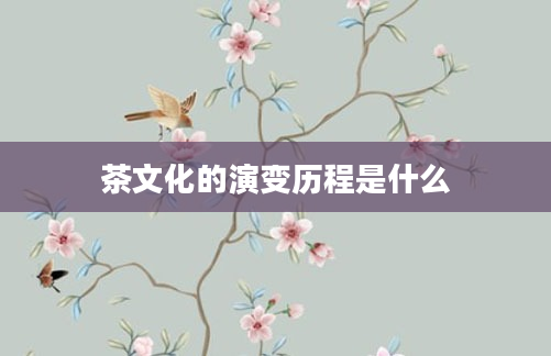 茶文化的演变历程是什么