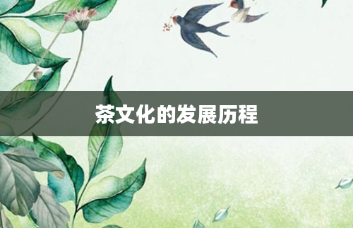 茶文化的发展历程