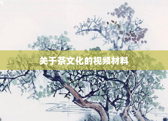 关于茶文化的视频材料