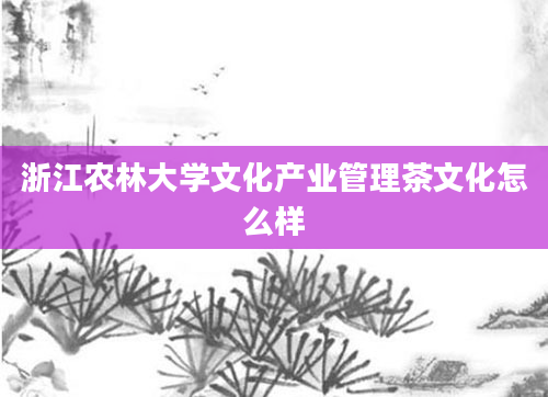 浙江农林大学文化产业管理茶文化怎么样