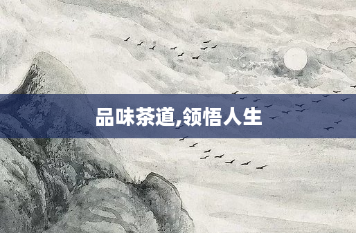 品味茶道,领悟人生