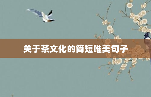 关于茶文化的简短唯美句子