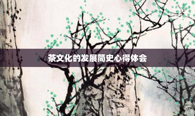 茶文化的发展简史心得体会