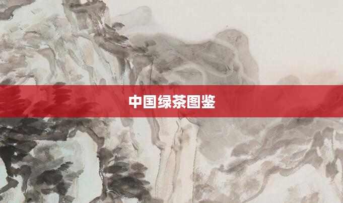 中国绿茶图鉴