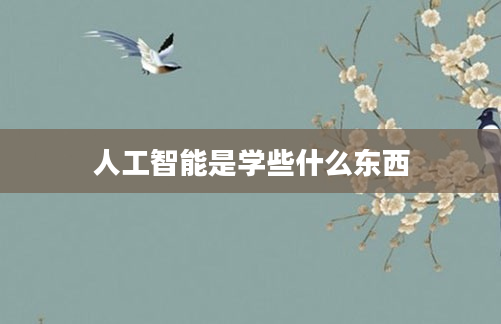 人工智能是学些什么东西