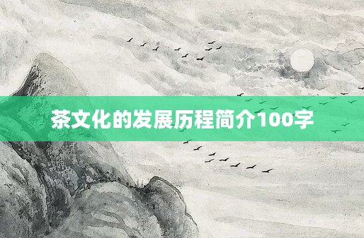 茶文化的发展历程简介100字