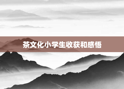 茶文化小学生收获和感悟