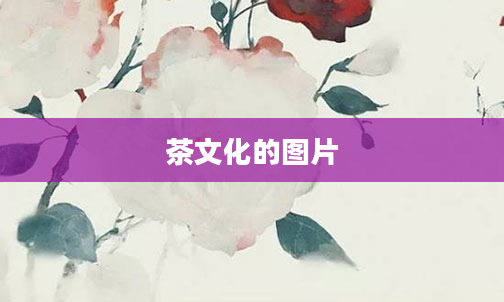 茶文化的图片