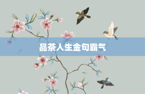 品茶人生金句霸气