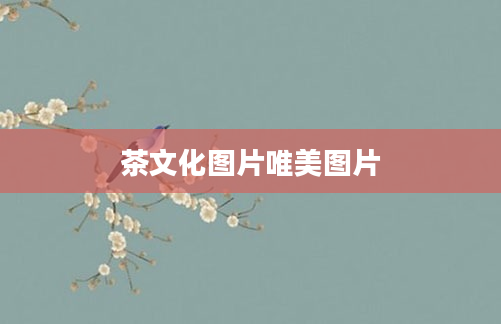 茶文化图片唯美图片