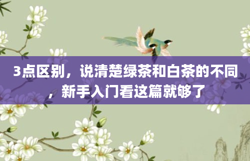3点区别，说清楚绿茶和白茶的不同，新手入门看这篇就够了