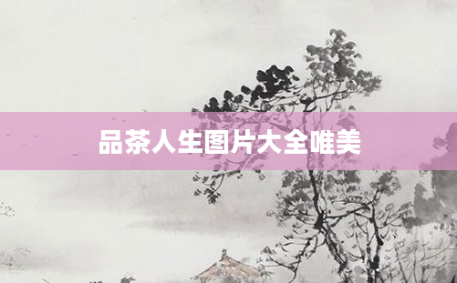 品茶人生图片大全唯美