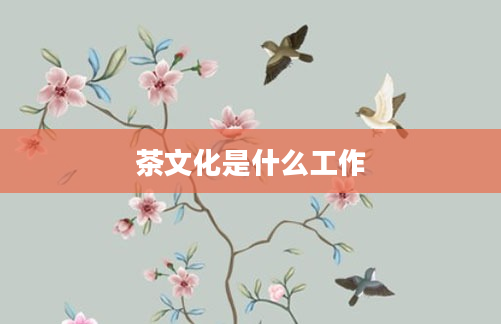 茶文化是什么工作