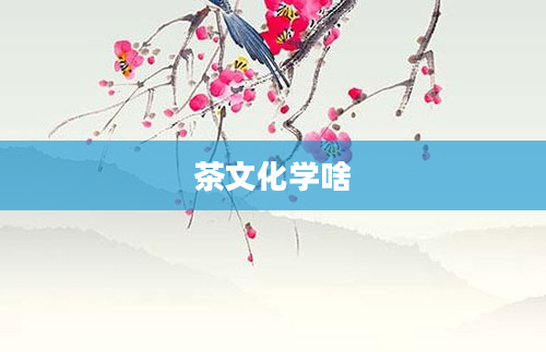 茶文化学啥