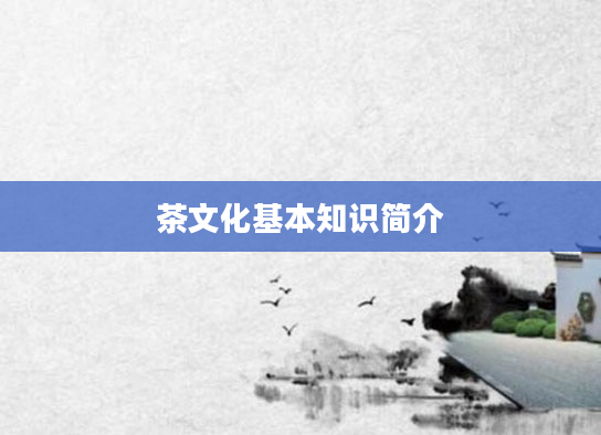 茶文化基本知识简介