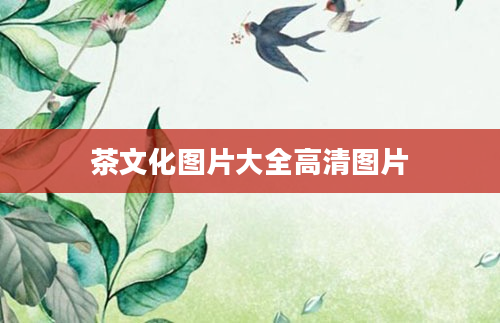 茶文化图片大全高清图片