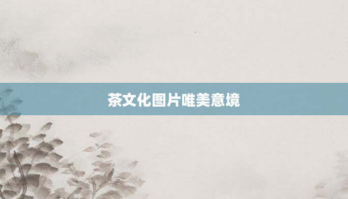 茶文化图片唯美意境