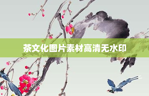 茶文化图片素材高清无水印