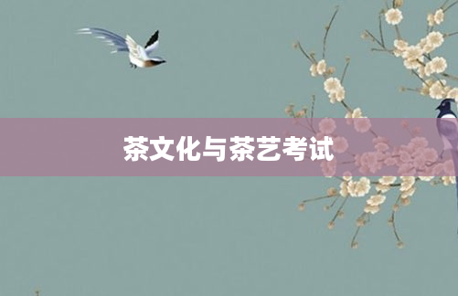 茶文化与茶艺考试