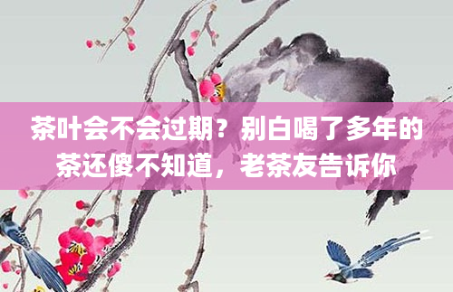 茶叶会不会过期？别白喝了多年的茶还傻不知道，老茶友告诉你