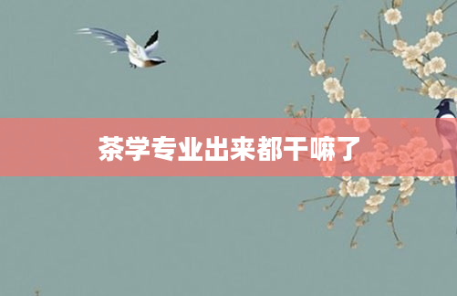 茶学专业出来都干嘛了
